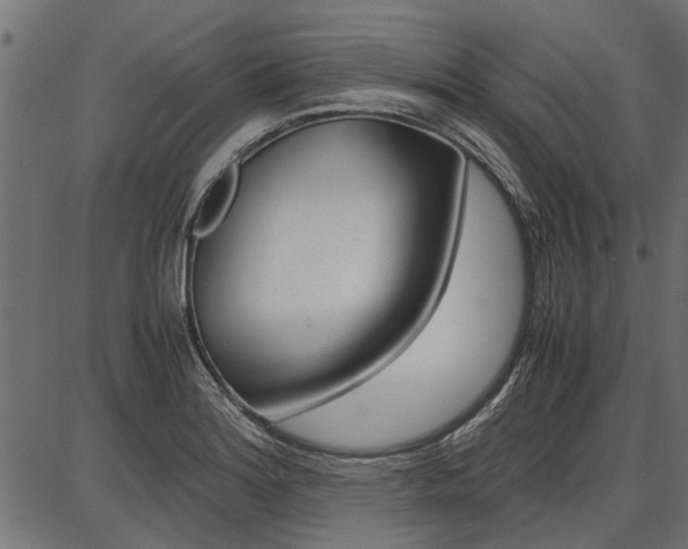 X0000086741180200704130725