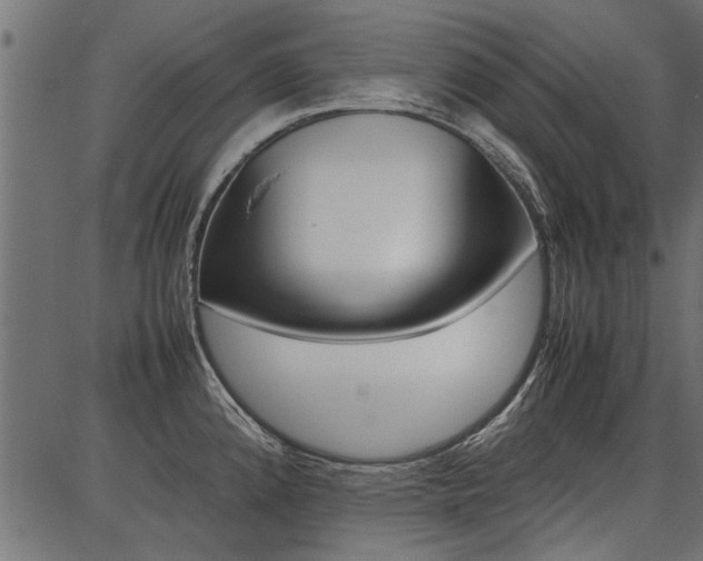 X0000086741192200704130724
