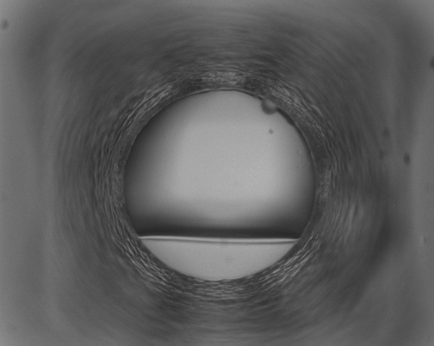 X0000086741201200704130723