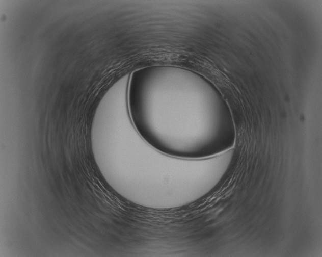 X0000086741202200704130723