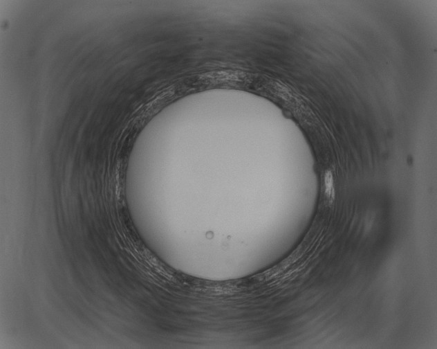 X0000086741203200704130723