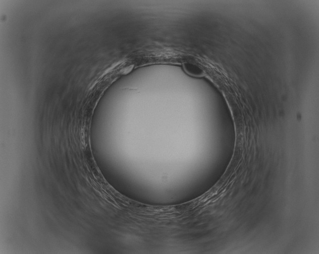 X0000086741205200704130724