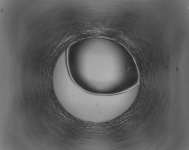 X0000086741206200704130724