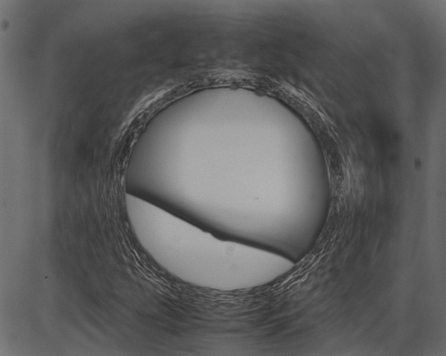 X0000086741207200704130724