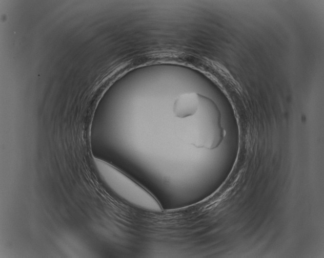 X0000086741209200704130724