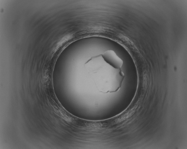 X0000086741210200704130724