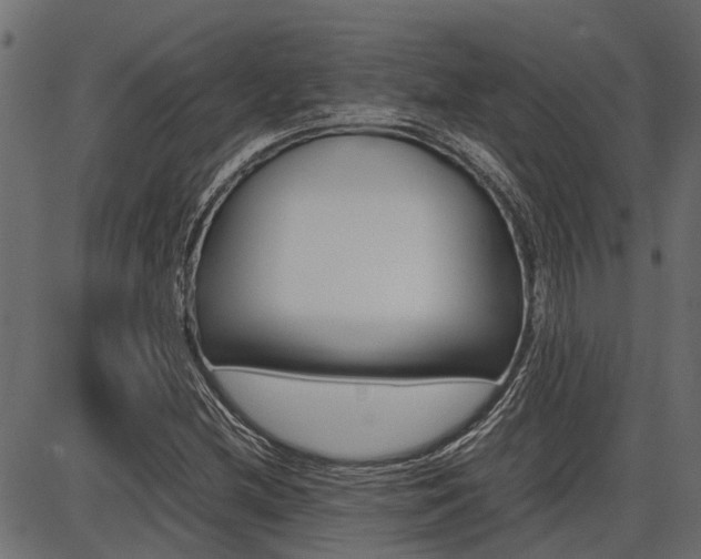 X0000086741212200704130724