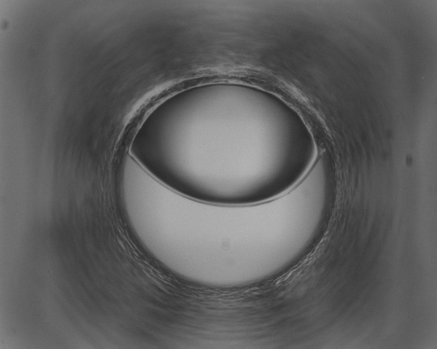 X0000086741214200704130724