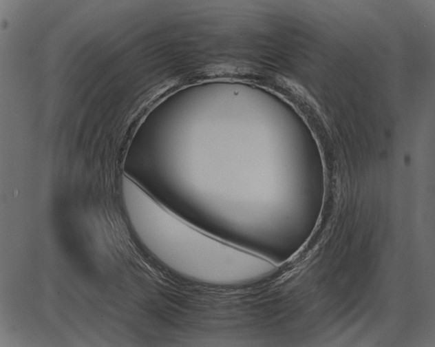 X0000086741217200704130724