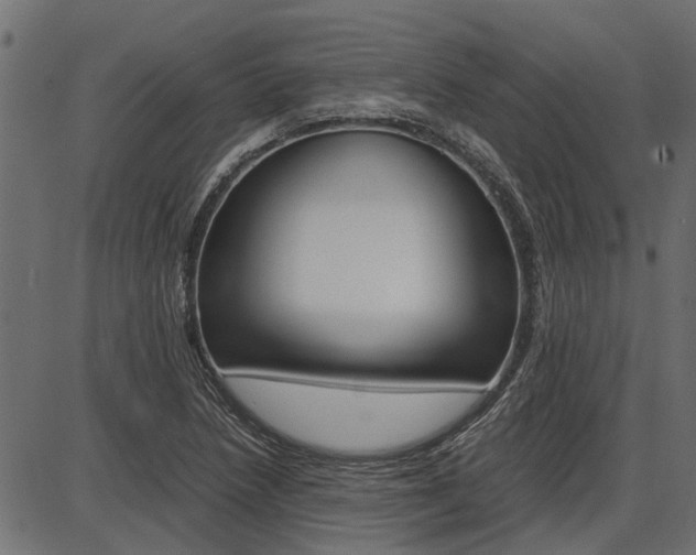 X0000086741218200704130724