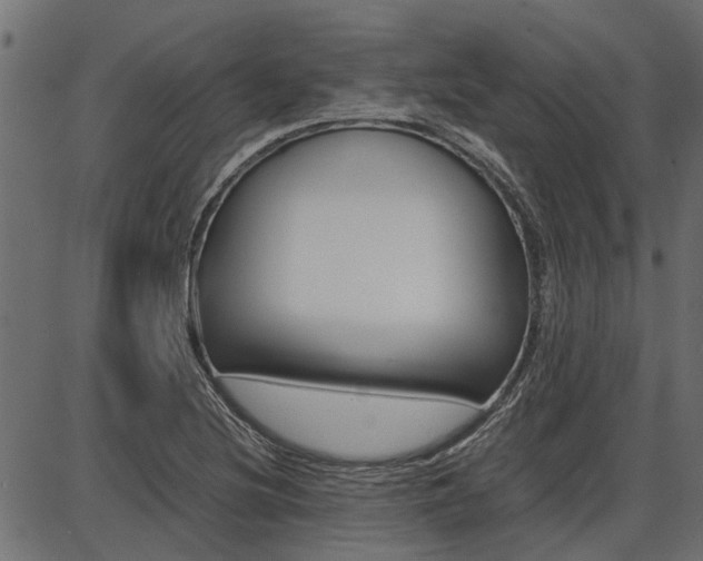 X0000086741220200704130724