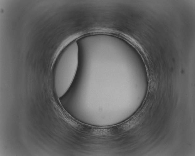 X0000086741223200704130724
