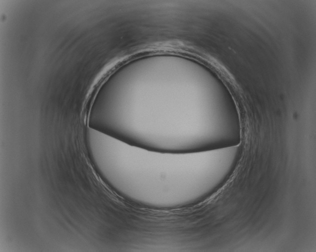 X0000086741224200704130724