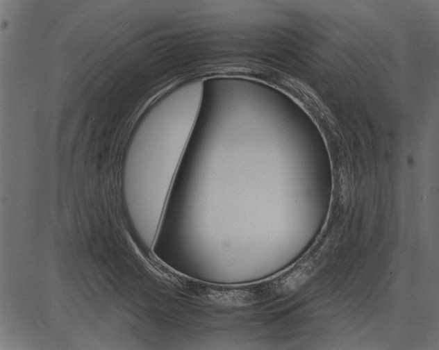 X0000086741225200704130724