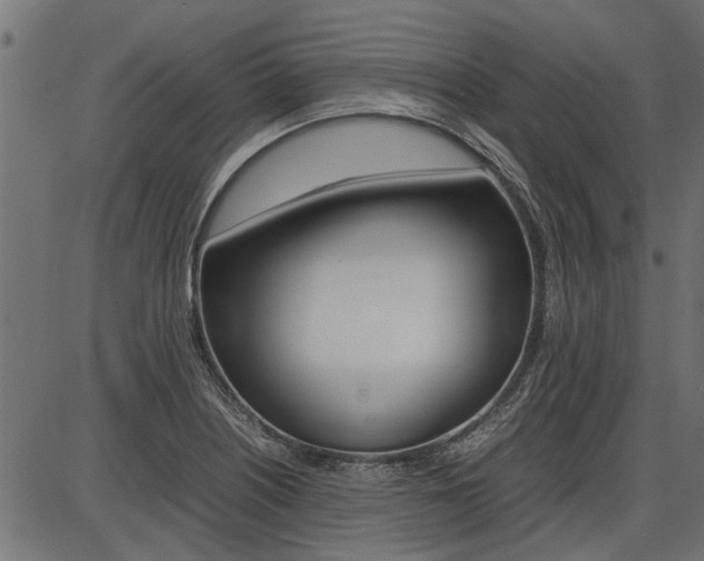 X0000086741226200704130724