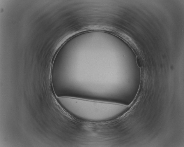 X0000086741228200704130724