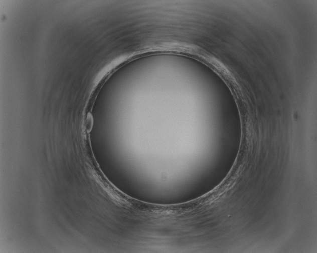 X0000086741230200704130724