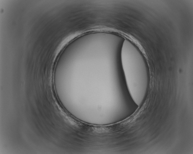 X0000086741231200704130724