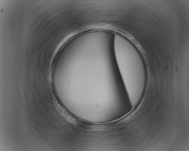 X0000086741232200704130724