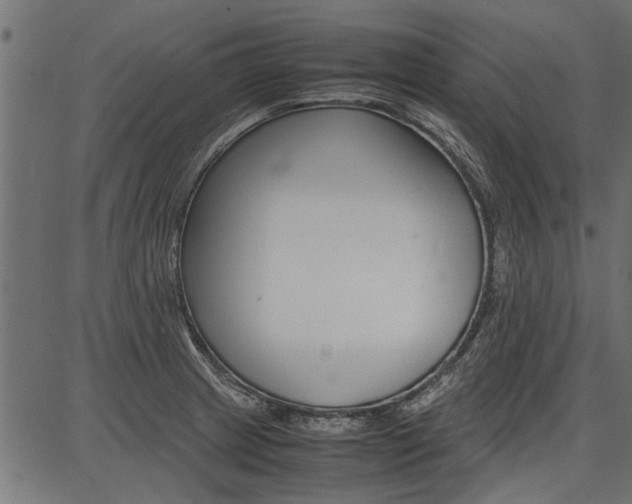 X0000086741233200704130724