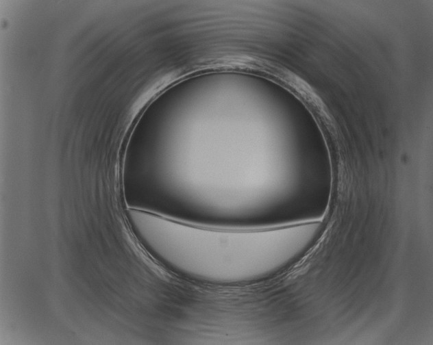 X0000086741234200704130724