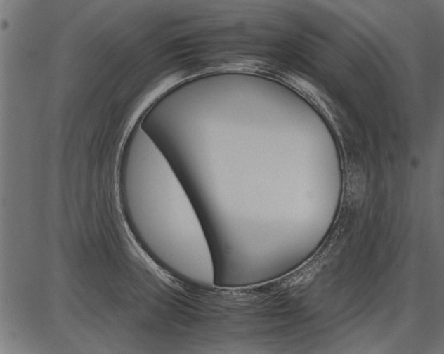 X0000086741235200704130724