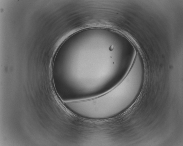 X0000086741246200704130724