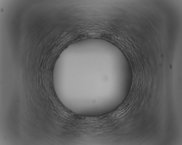X0000086741249200704130723
