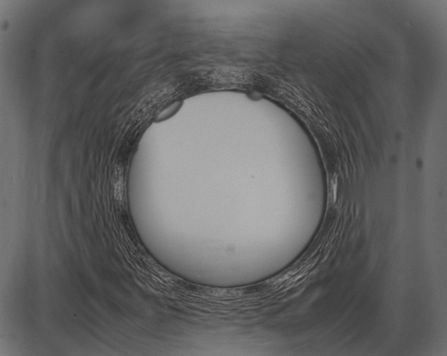 X0000086741251200704130723