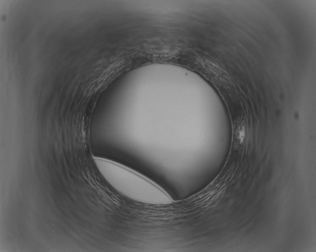 X0000086741252200704130723