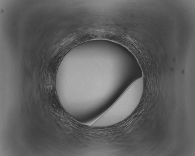X0000086741253200704130723