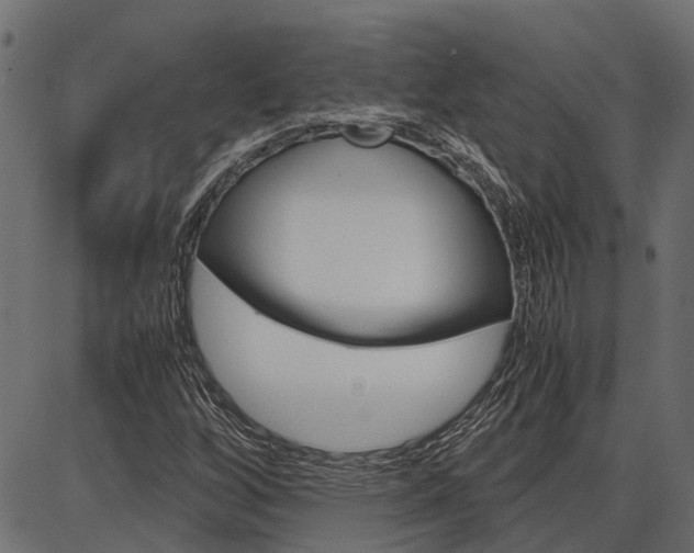X0000086741256200704130723