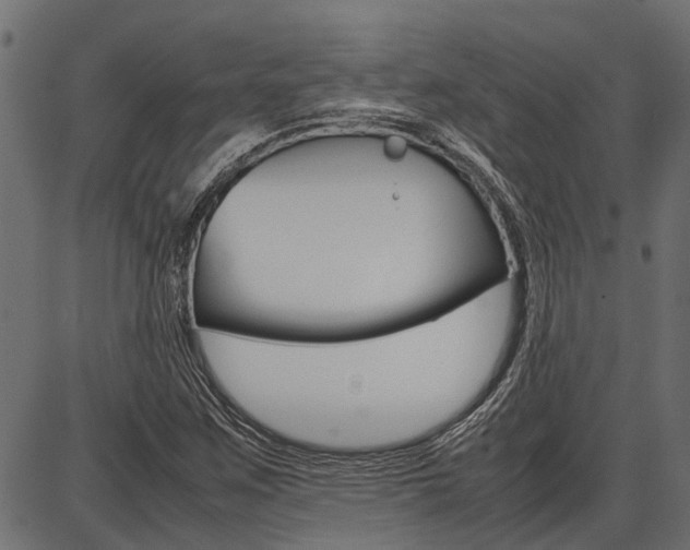 X0000086741259200704130723