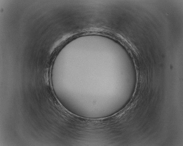 X0000086741262200704130723