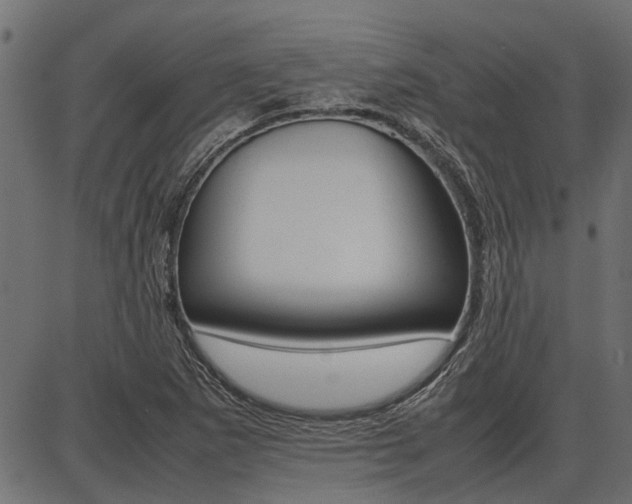 X0000086741265200704130723