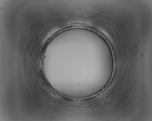 X0000086741267200704130723