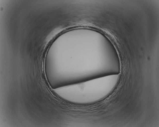 X0000086741271200704130723