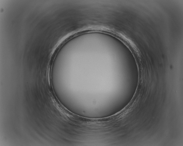X0000086741272200704130723