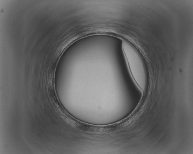 X0000086741273200704130723