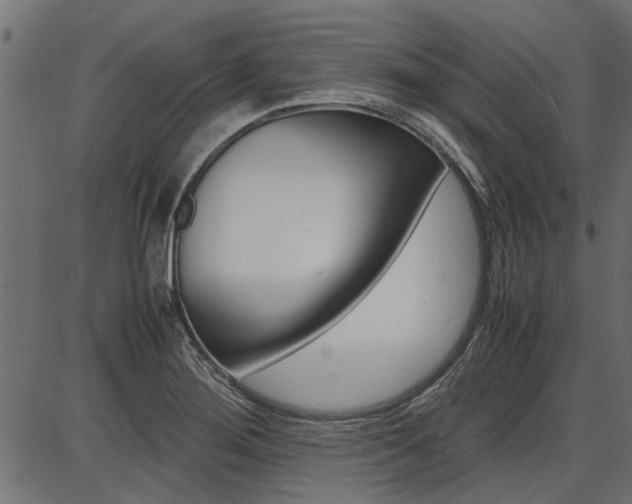 X0000086741276200704130723