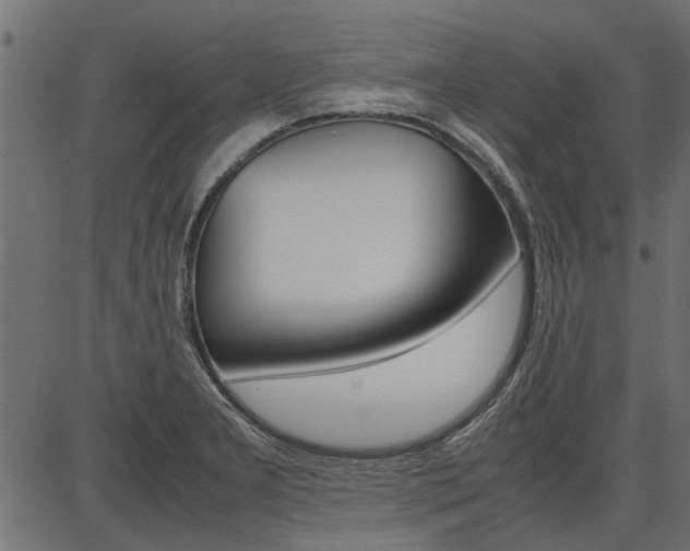 X0000086741277200704130723