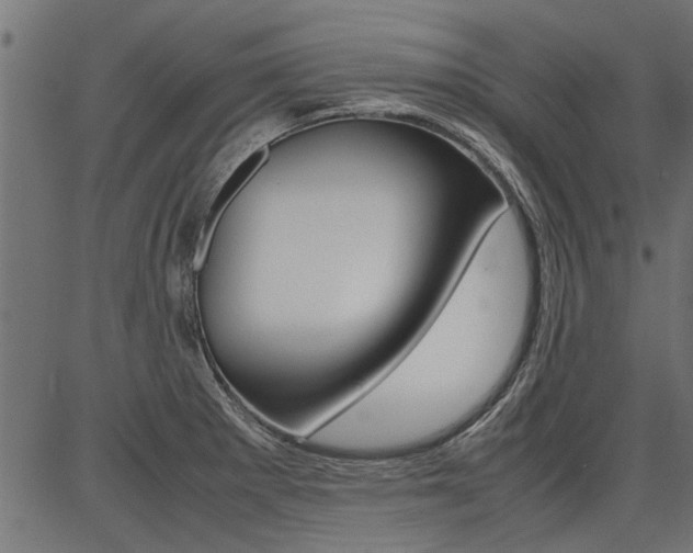 X0000086741281200704130723