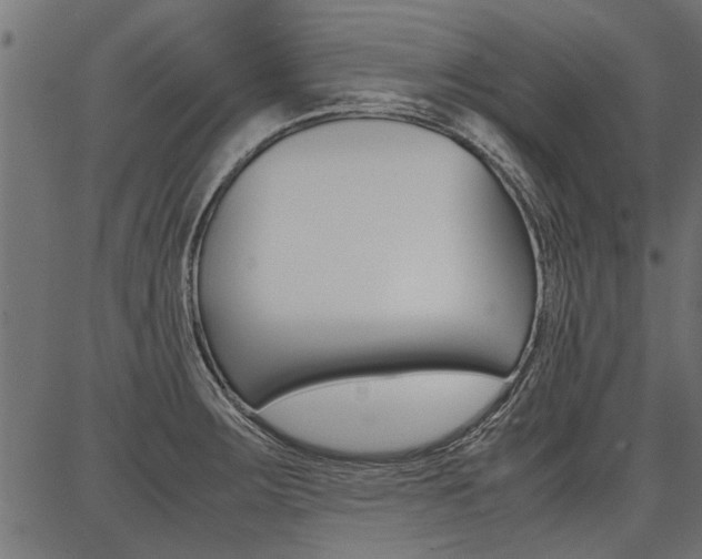 X0000086741283200704130723