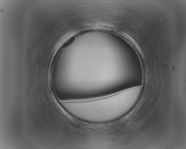 X0000086741285200704130723
