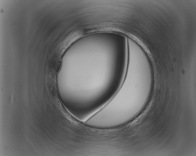 X0000086741289200704130723