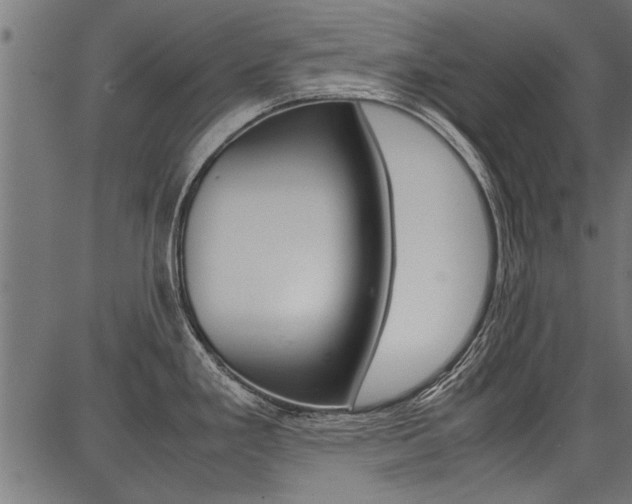 X0000086741293200704130723
