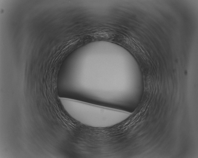 X0000086741297200704130722