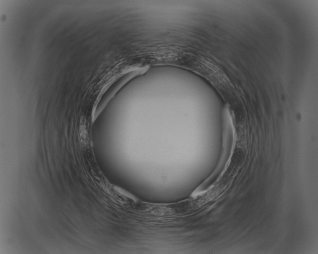X0000086741298200704130722