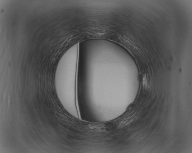 X0000086741299200704130722