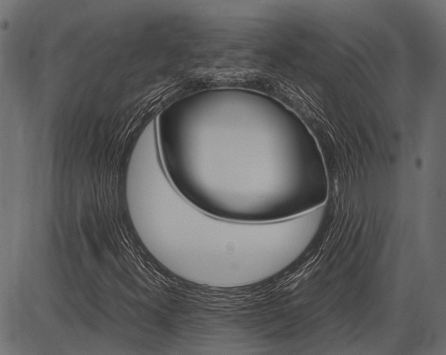 X0000086741300200704130722